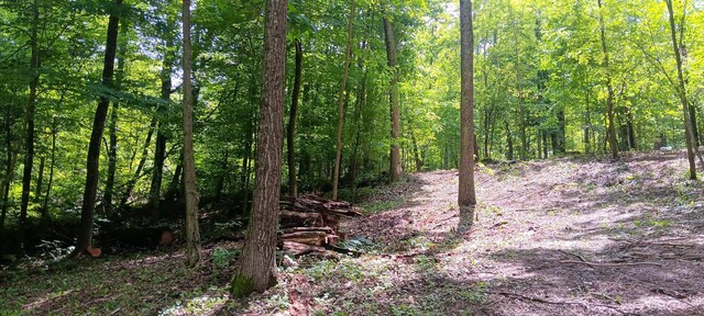 0 Mulberry St NE (Lot N Woods Flint Ridge), Newark, OH 43055