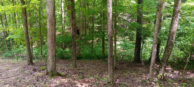 0 Mulberry St NE (Lot N Woods Flint Ridge), Newark, OH 43055