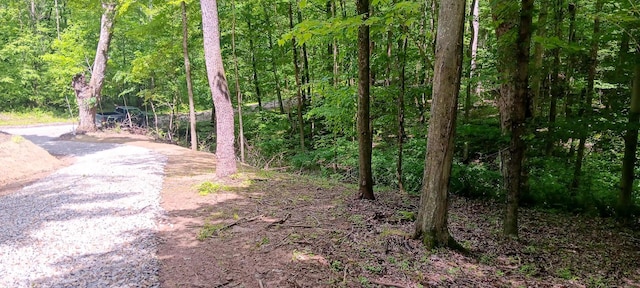 0 Mulberry St NE (Lot N Woods Flint Ridge), Newark, OH 43055