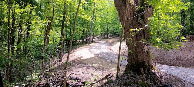0 Mulberry St NE (Lot N Woods Flint Ridge), Newark, OH 43055