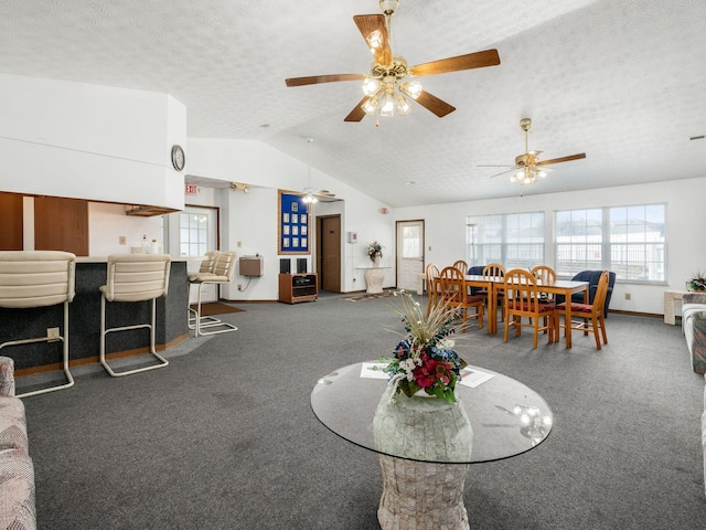 4393 Hammerton Dr Unit 14B, Columbus, OH 43228 - living area featuring carpet floors, healthy amount of natural light, lofted ceiling, ceiling fan, and a textured ceiling