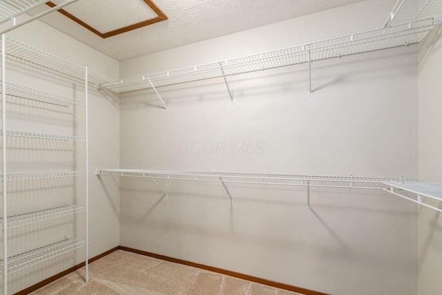 4393 Hammerton Dr Unit 14B, Columbus, OH 43228 - walk in closet with carpet floors