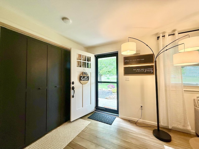 1855 Itawamba Trl, London, OH 43140 - foyer featuring healthy amount of natural light and wood finished floors