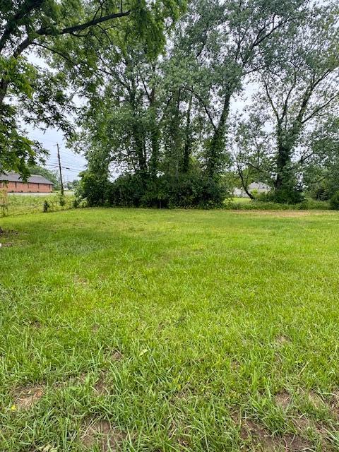 1729 E 17th Ave, Columbus, OH 43219 - view of yard
