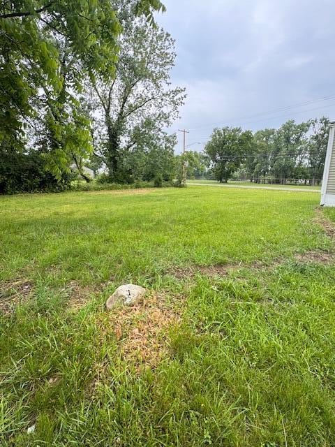 1729 E 17th Ave, Columbus, OH 43219 - view of yard