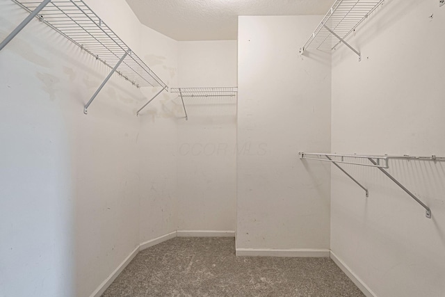 8281 Deering Oaks Dr, Blacklick, OH 43004 - walk in closet featuring carpet flooring
