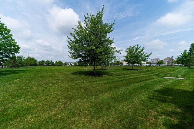 541 Beckler Ln, Delaware, OH 43015 - photo 29