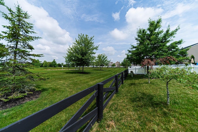 541 Beckler Ln, Delaware, OH 43015 - photo 31