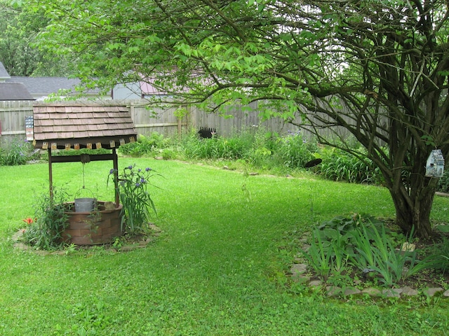 252 Randolph St, Wilmington, OH 45177 - view of green lawn