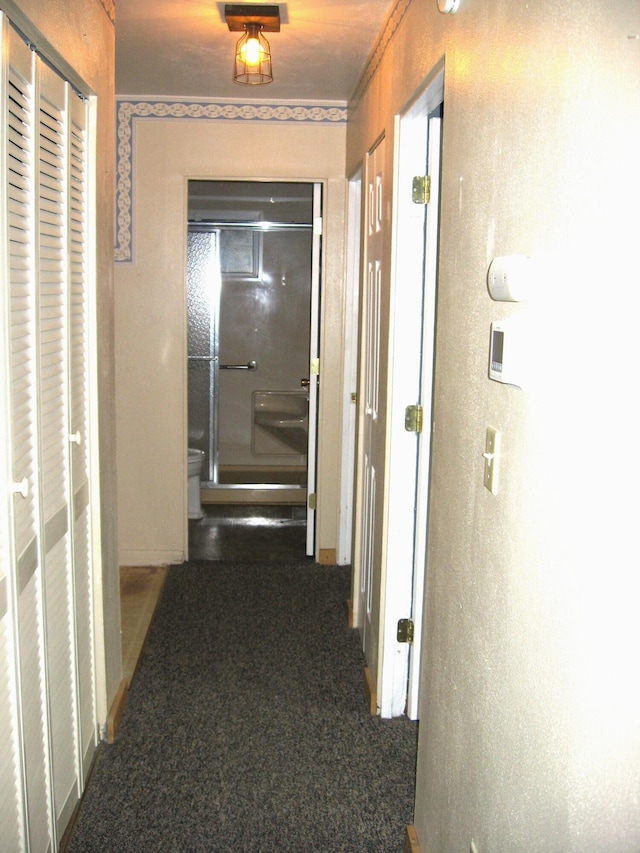252 Randolph St, Wilmington, OH 45177 - corridor with carpet