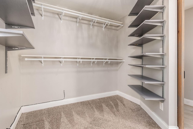 6900 Waterloo Rd NW, Canal Winchester, OH 43110 - walk in closet with carpet