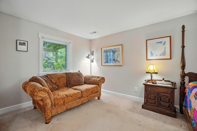 136 Shepardson Ct, Granville, OH 43023 - photo 32