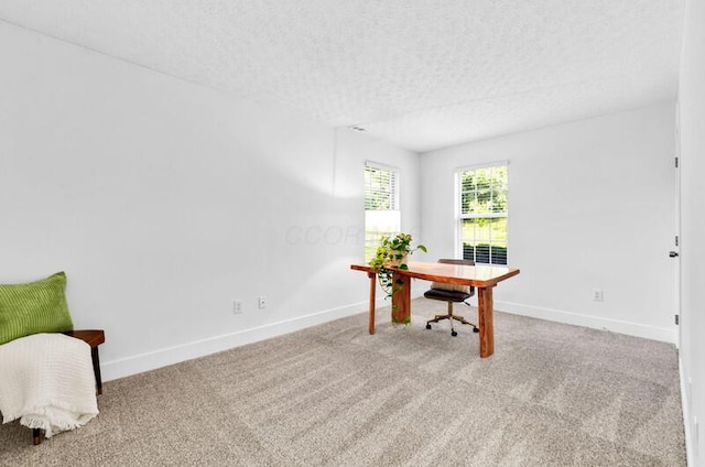 560 Dandy Brush Ln E, Columbus, OH 43230 - carpeted office with baseboards and a textured ceiling