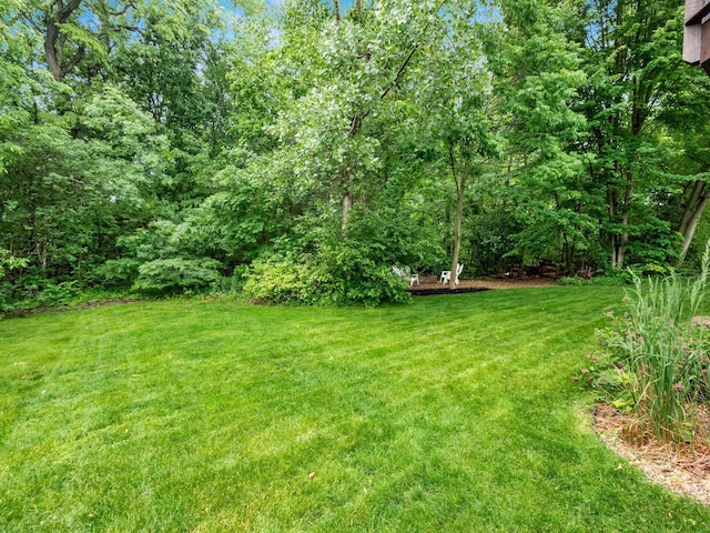 7034 Kellogg Dr, Powell, OH 43065 - view of green lawn