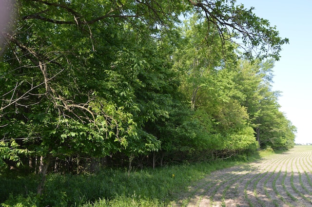 6497 County Highway 87, Wharton, OH 43359