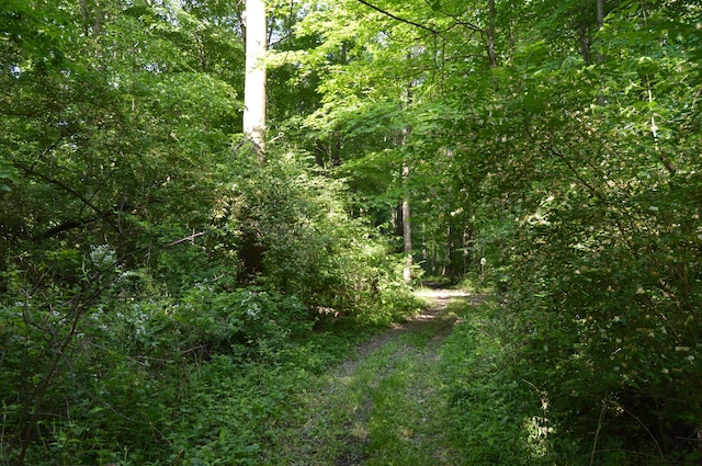 6497 County Highway 87, Wharton, OH 43359