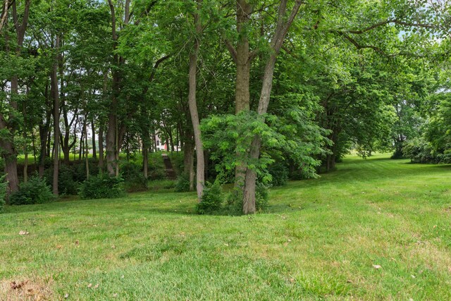 390 Edgington Dr, Plain City, OH 43064 - photo 73