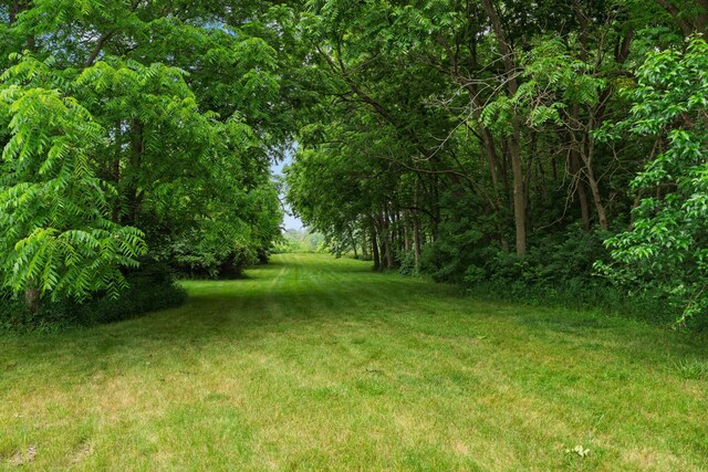 390 Edgington Dr, Plain City, OH 43064 - photo 74