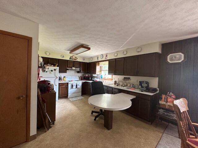 14572 Hock Hocking Rd, Logan, OH 43138 - kitchen with white appliances, a textured ceiling, dark brown cabinets, light countertops, and under cabinet range hood