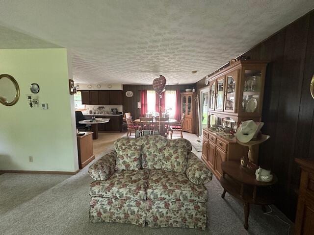 14572 Hock Hocking Rd, Logan, OH 43138 - living room featuring light colored carpet and a textured ceiling