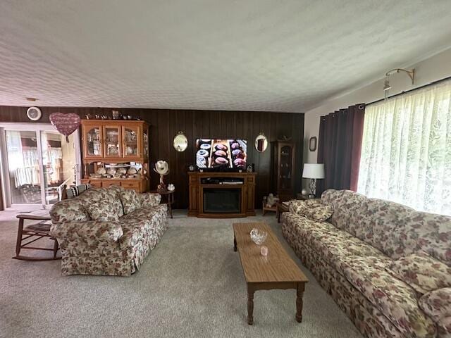 14572 Hock Hocking Rd, Logan, OH 43138 - carpeted living room with wooden walls and a fireplace