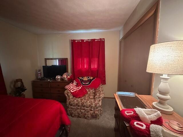 14572 Hock Hocking Rd, Logan, OH 43138 - bedroom featuring carpet floors