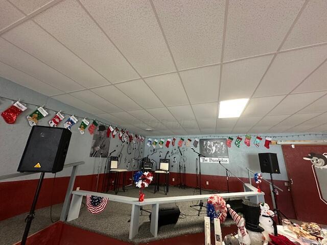 14572 Hock Hocking Rd, Logan, OH 43138 - game room with carpet and a paneled ceiling