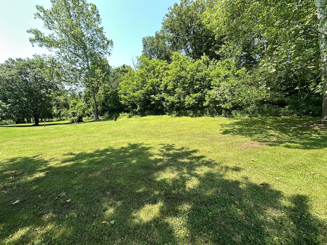 14572 Hock Hocking Rd, Logan, OH 43138 - view of green lawn