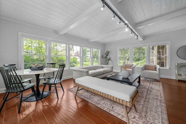 137 E Torrence Rd, Columbus, OH 43214 - sunroom / solarium featuring track lighting and beam ceiling
