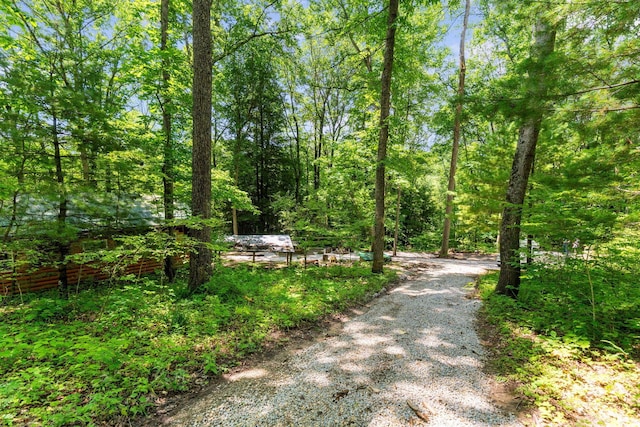 18768 Indigo Ln, Rockbridge, OH 43149 - photo 59