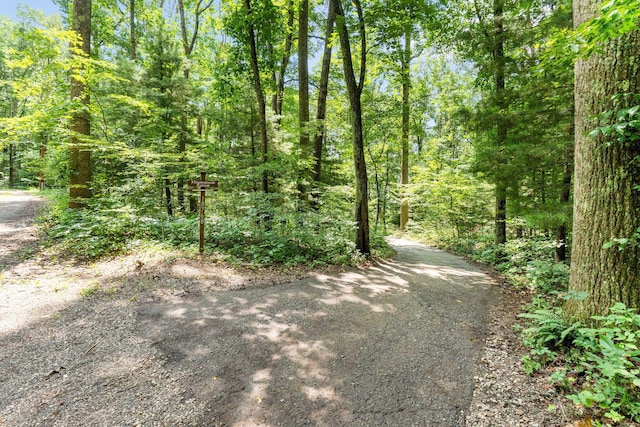 18768 Indigo Ln, Rockbridge, OH 43149 - photo 58