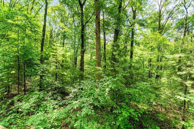 18768 Indigo Ln, Rockbridge, OH 43149 - photo 18