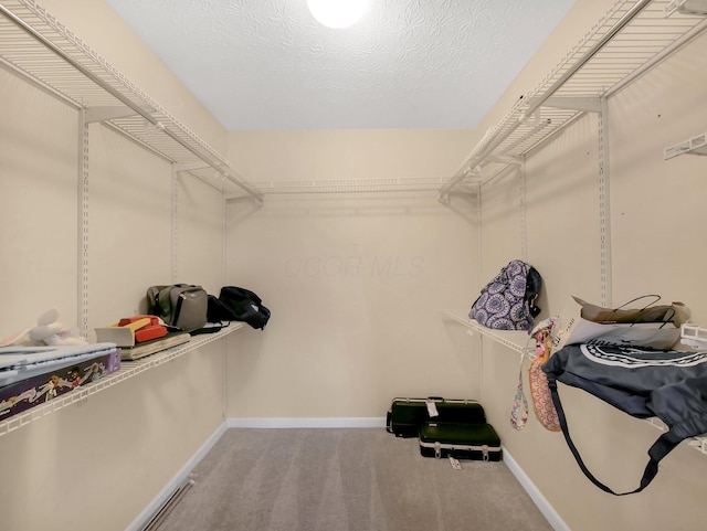6048 Trent Ct, Lewis Center, OH 43035 - spacious closet featuring carpet