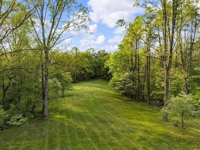 26975 Chapel Ridge Rd, South Bloomingville, OH 43152 - view of grassy yard with a forest view