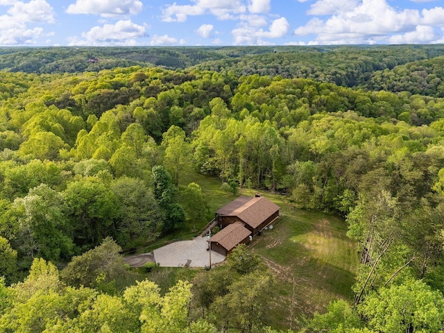 26975 Chapel Ridge Rd, South Bloomingville, OH 43152 - view from above of property featuring a forest