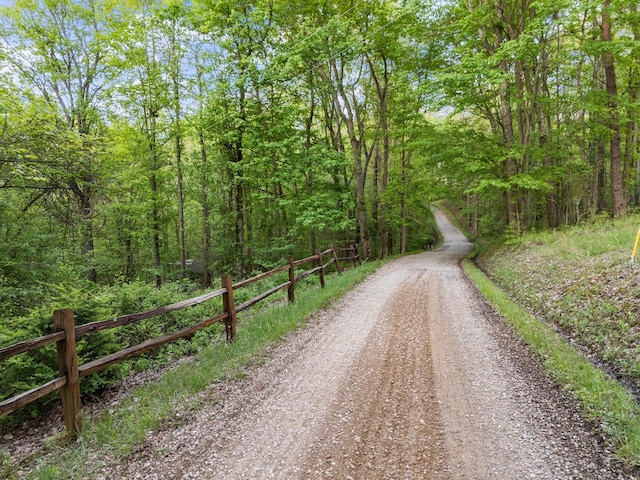 26975 Chapel Ridge Rd, South Bloomingville, OH 43152 - view of dirt / gravel road with a wooded view