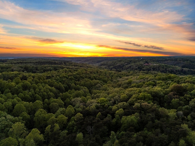 26975 Chapel Ridge Rd, South Bloomingville, OH 43152 - bird's eye view of a heavily wooded area