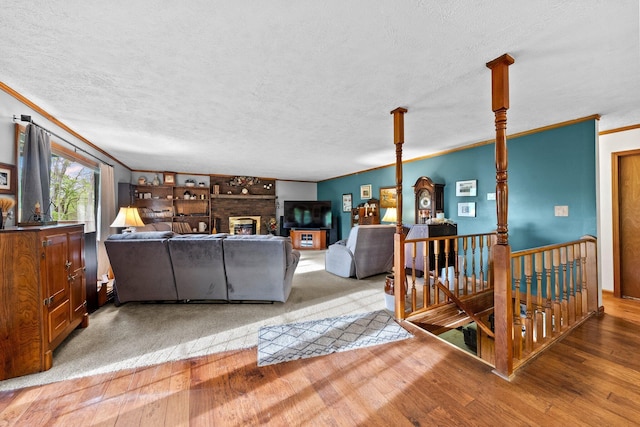 26975 Chapel Ridge Rd, South Bloomingville, OH 43152 - living area with ornamental molding, hardwood / wood-style floors, and a textured ceiling