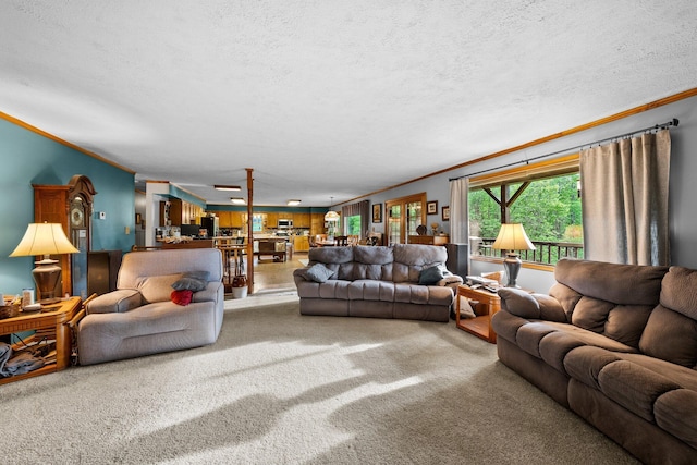 26975 Chapel Ridge Rd, South Bloomingville, OH 43152 - carpeted living area featuring ornamental molding and a textured ceiling