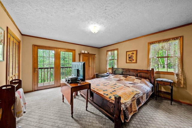 26975 Chapel Ridge Rd, South Bloomingville, OH 43152 - carpeted bedroom featuring access to exterior, baseboards, and ornamental molding