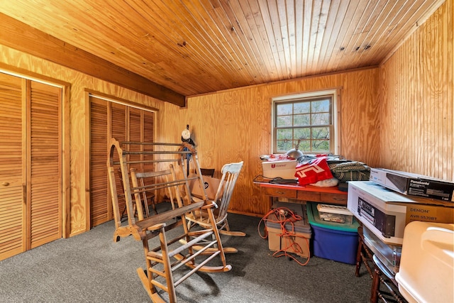 26975 Chapel Ridge Rd, South Bloomingville, OH 43152 - view of storage