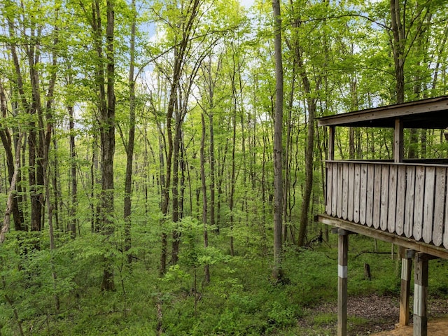 26975 Chapel Ridge Rd, South Bloomingville, OH 43152 - view of yard