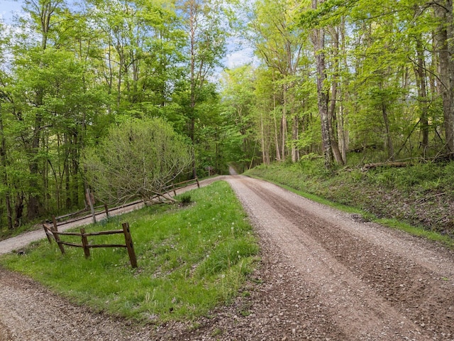 26975 Chapel Ridge Rd, South Bloomingville, OH 43152 - view of dirt / gravel road featuring a wooded view