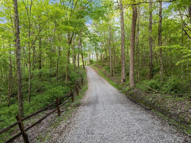 26975 Chapel Ridge Rd, South Bloomingville, OH 43152 - view of road with a wooded view