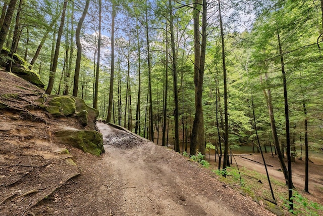 26975 Chapel Ridge Rd, South Bloomingville, OH 43152 - view of street with a forest view