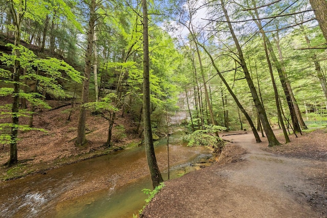 26975 Chapel Ridge Rd, South Bloomingville, OH 43152 - water view