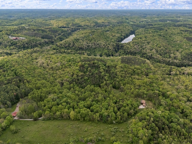 26975 Chapel Ridge Rd, South Bloomingville, OH 43152 - aerial overview of property's location with a heavily wooded area