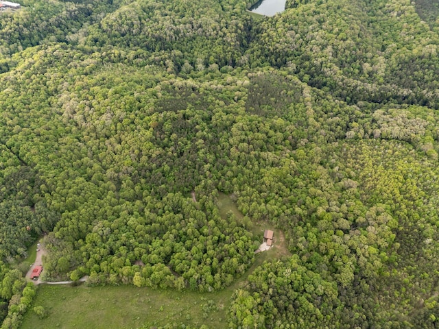 26975 Chapel Ridge Rd, South Bloomingville, OH 43152 - aerial view of property's location featuring a forest