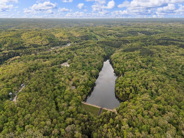 26975 Chapel Ridge Rd, South Bloomingville, OH 43152 - drone / aerial view of a forest and a large body of water