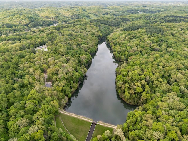 26975 Chapel Ridge Rd, South Bloomingville, OH 43152 - aerial view of a nearby body of water and a forest